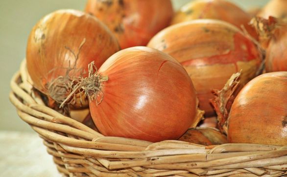 Przejdź do artykułu - W jaki sposób uprawiać i pielęgnować cebulę
