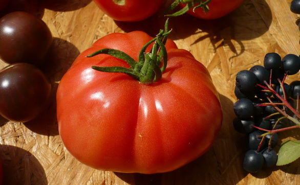 thumb Pomidory malinowe - jak nawozić