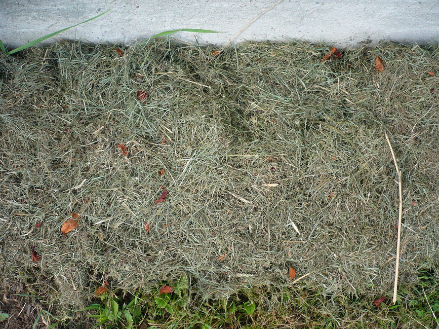Jak wykorzystać skoszoną trawę