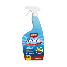 Avans RTU