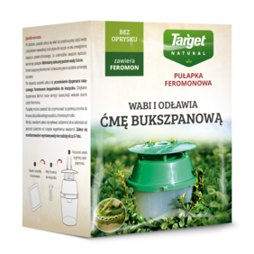 Pułapka feromonowa na ćmę bukszpanową