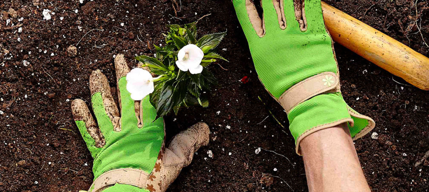 W jaki sposób chronić dłonie podczas prac ogrodowych?