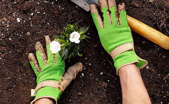 thumb W jaki sposób chronić dłonie podczas prac ogrodowych