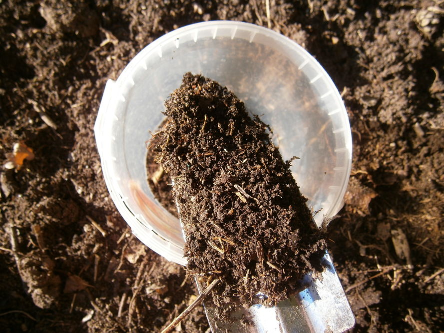 Badanie odczynu gleby - 4 sposoby