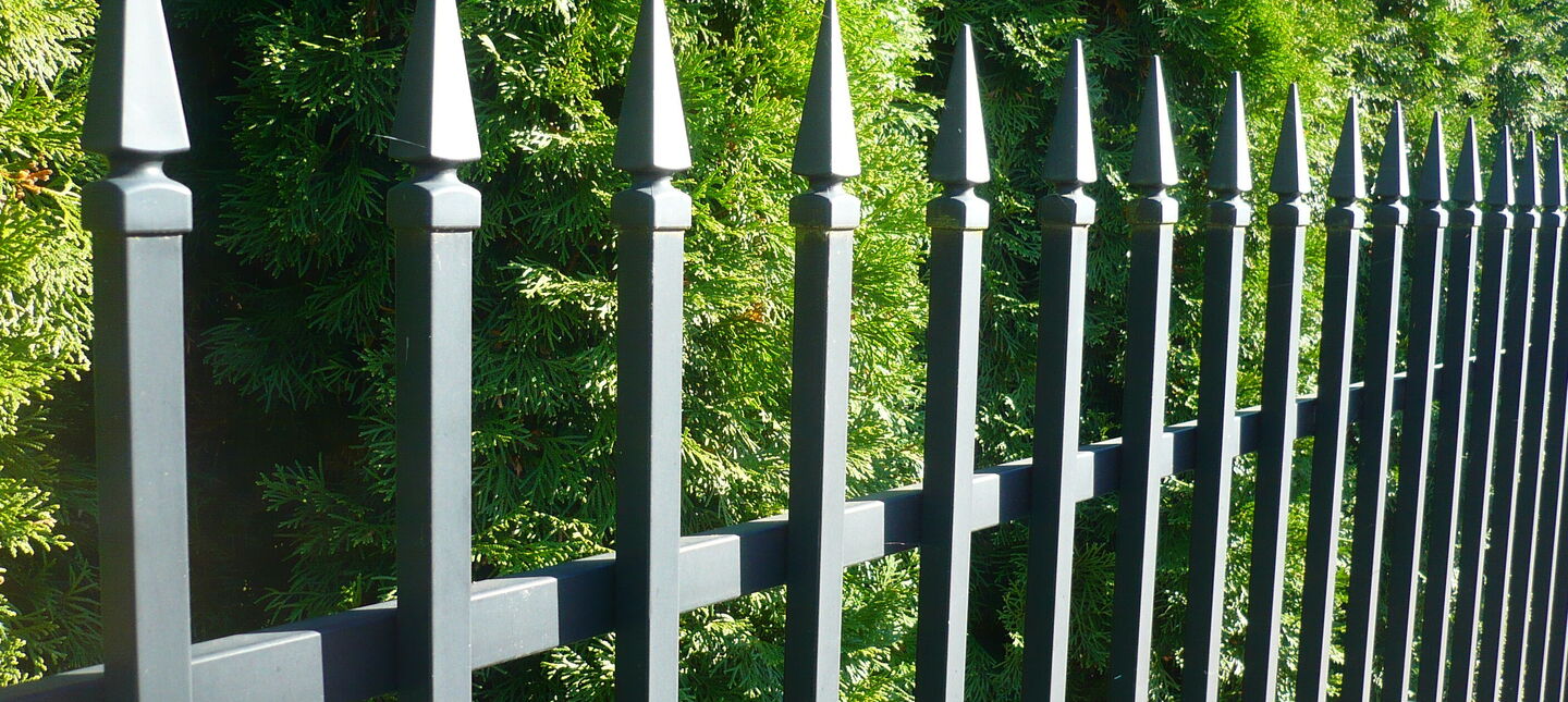 Co posadzić przy płocie?