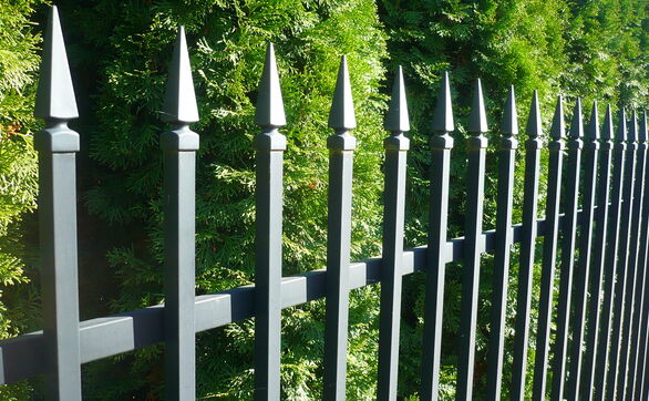 thumb Co posadzić przy płocie?