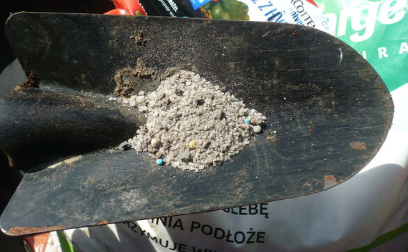 thumb Czy warto stosować hydrożel do kwiatów w domu i na balkonie?