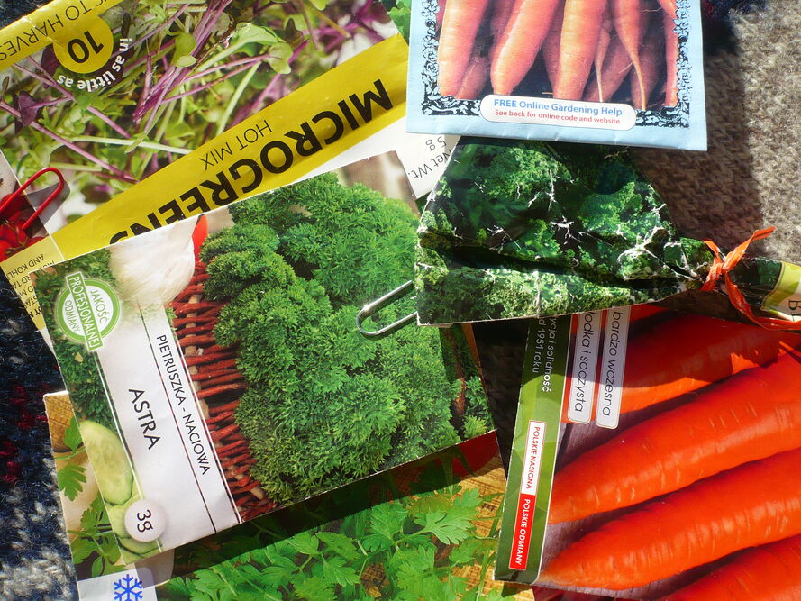 Warzywnik w workach i skrzyniach (grow bag) - co sadzić i jak pielęgnować