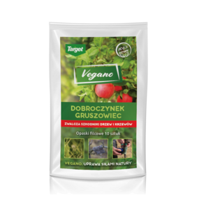 Filcowe Opaski z Dobroczynkiem Gruszowym Vegano