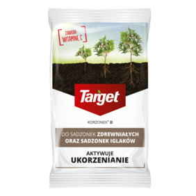 Korzonek® D w proszku