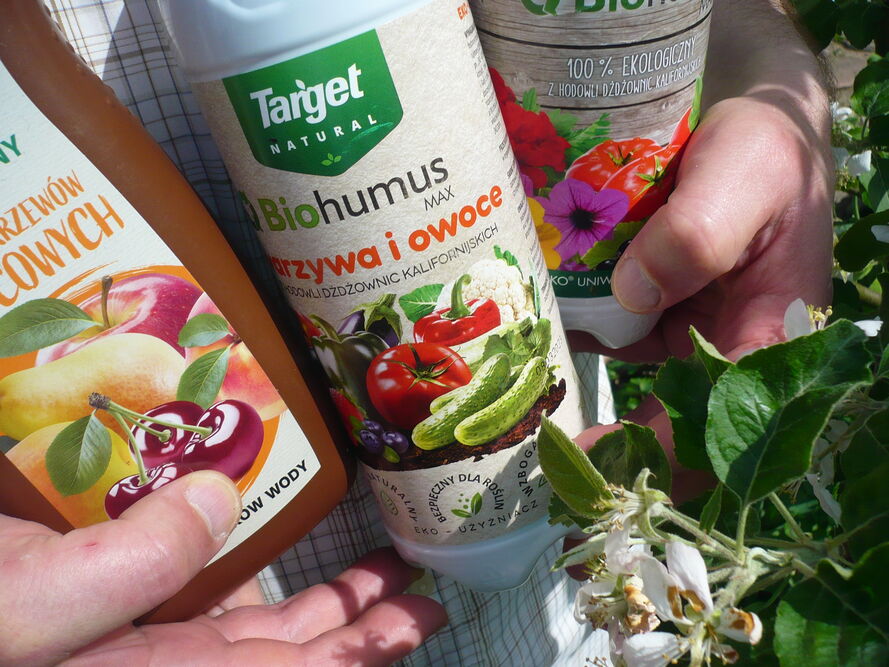 Warzywnik w workach i skrzyniach (grow bag) - co sadzić i jak pielęgnować