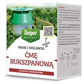 Pułapka feromonowa na ćmę bukszpanową