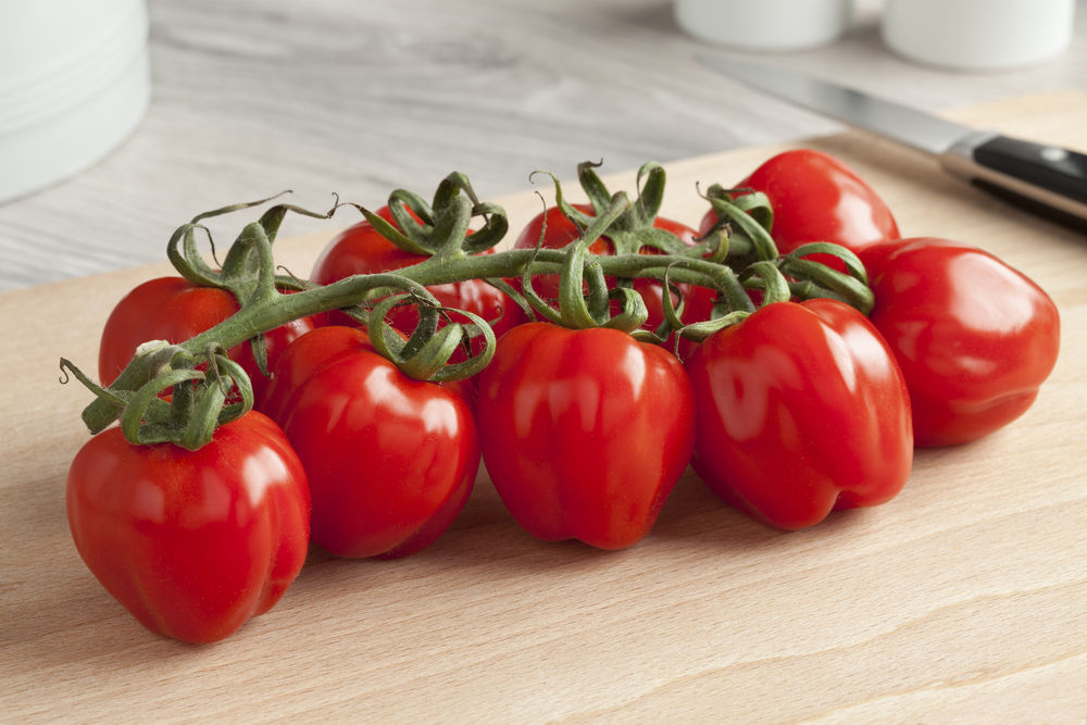 pomidor 7