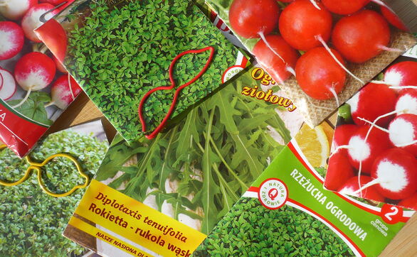 thumb Co siejemy we wrześniu? Wysiew warzyw i kwiatów we wrześniu 