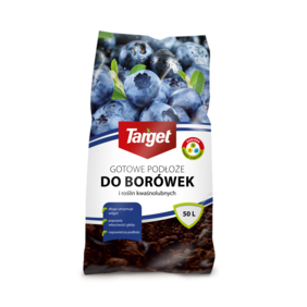 Gotowe podłoże do borówek