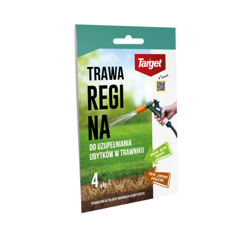 Target_trawa+gazonowa_REGINA_0%2C1kg+kopia+2.png