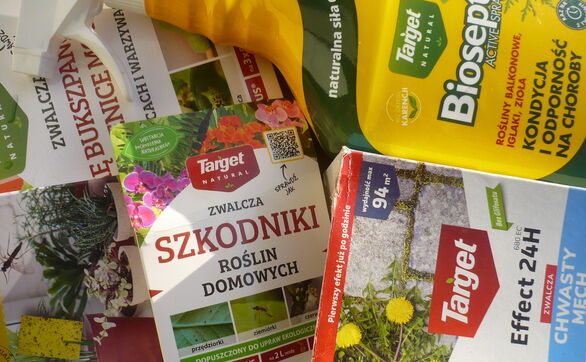 Czy deszcz zmywa oprysk? Od czego zależy odporność preparatu na opady