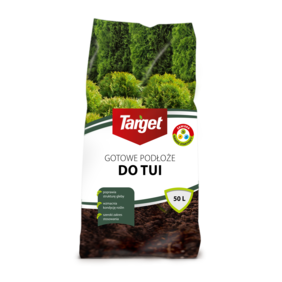 Gotowe podłoże do tui