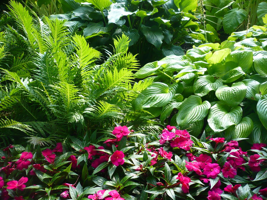 Kompozycje kwiatowe na balkony