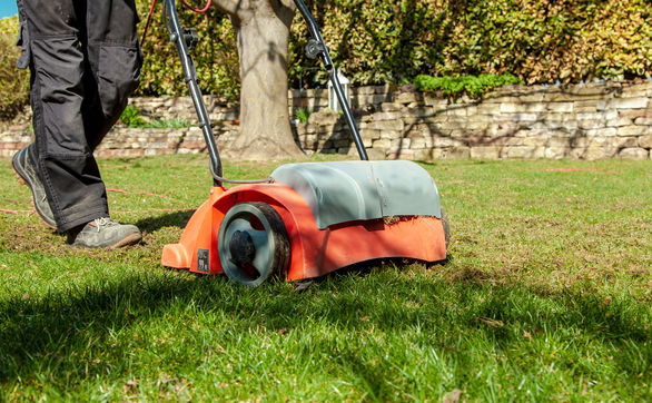 Przejdź do artykułu - Wertykulacja trawnika – jak i kiedy wykonać
