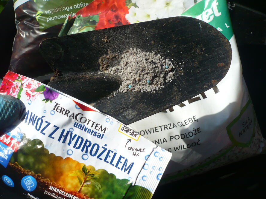 Całoroczne drzewka na balkon