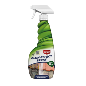 Glon-Effect Spray
