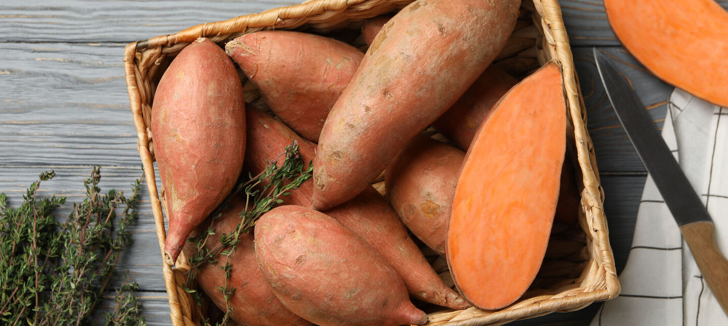 Batat (słodki ziemniak) - uprawa w Polsce od sadzonki do zbioru