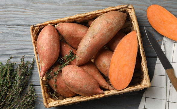 Przejdź do artykułu - Batat (słodki ziemniak) - uprawa w Polsce od sadzonki do zbioru